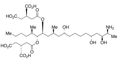 伏馬毒素 伏馬毒素