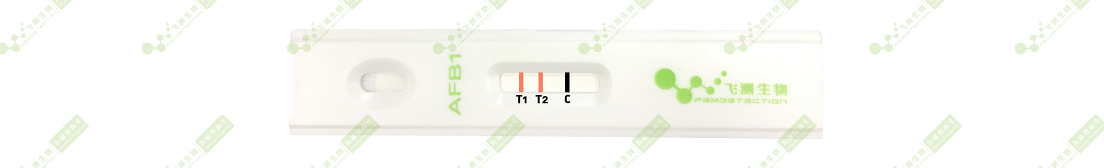 雙T線定量檢測技術(shù) 雙T線定量檢測技術(shù)