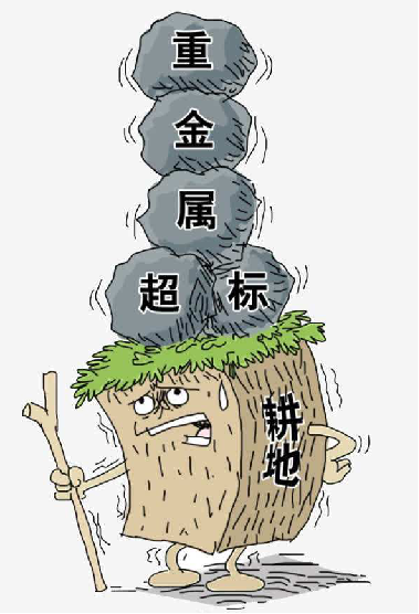 重金屬污染所帶來的經(jīng)濟損失 重金屬污染所帶來的經(jīng)濟損失