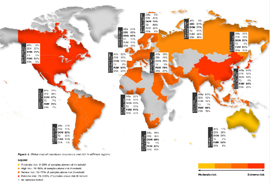 全球谷物中真菌毒素分布 全球谷物中真菌毒素分布