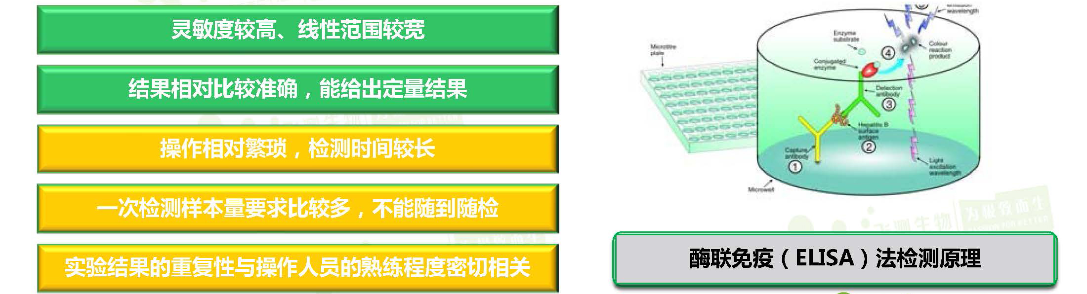 酶聯(lián)免疫分析方法(ELISA) 酶聯(lián)免疫分析方法(ELISA)