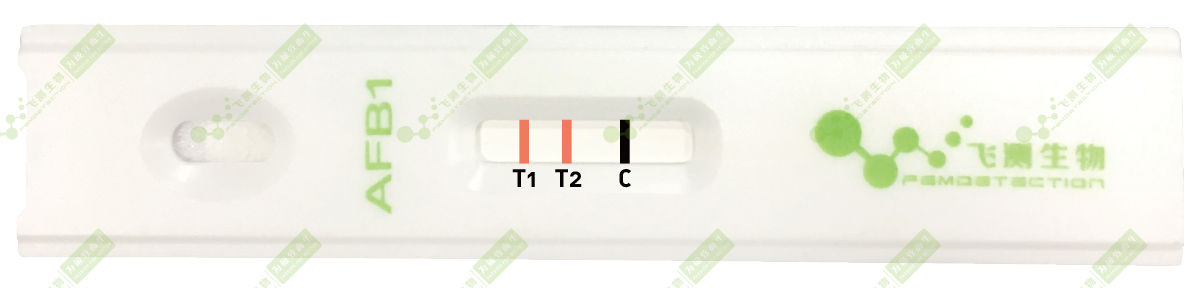 雙T線定量檢測技術  雙T線定量檢測技術