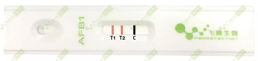 雙T線(xiàn)定量檢測(cè)技術(shù) 雙T線(xiàn)定量檢測(cè)技術(shù)