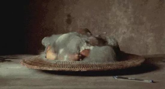 發(fā)霉食物 發(fā)霉食物