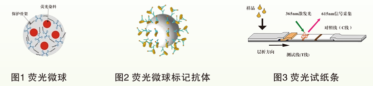 熒光標(biāo)記物微球 熒光標(biāo)記物微球