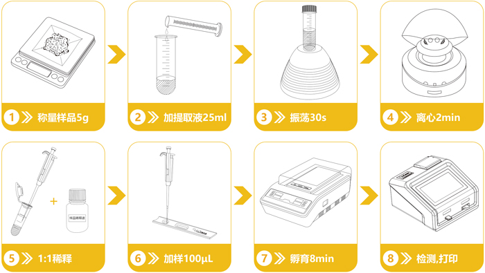 轉(zhuǎn)基因Cp4檢測卡操作流程 轉(zhuǎn)基因Cp4檢測卡操作流程