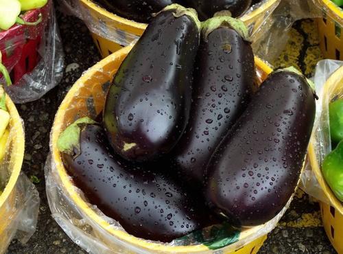 農(nóng)藥殘留 農(nóng)藥殘留