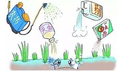 農(nóng)藥殘留 農(nóng)藥殘留