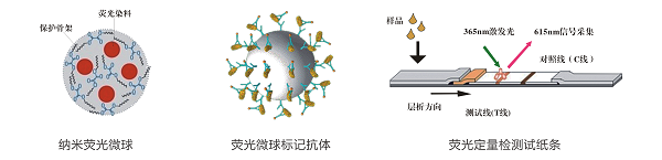 β-內(nèi)酰胺類熒光定量快速檢測卡/試紙條 β-內(nèi)酰胺類熒光定量快速檢測卡/試紙條