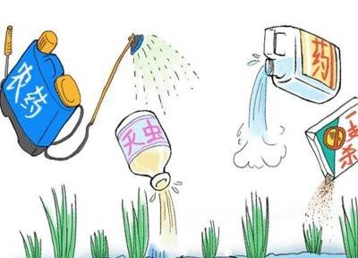 農(nóng)藥殘留 農(nóng)藥殘留