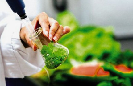 農藥殘留 農藥殘留