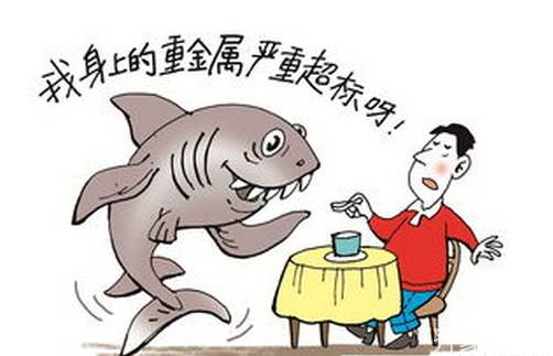 海鮮重金屬 海鮮重金屬
