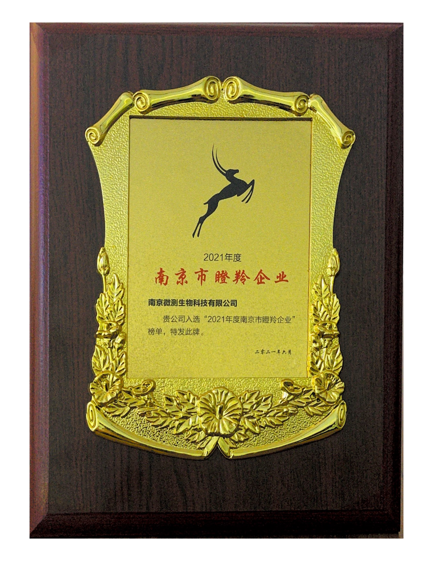 南京市瞪羚企業(yè) 南京市瞪羚企業(yè)