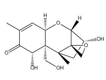嘔吐毒素 嘔吐毒素