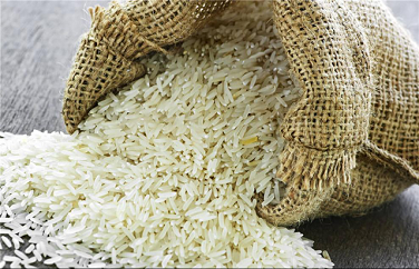 糧食重金屬 糧食重金屬