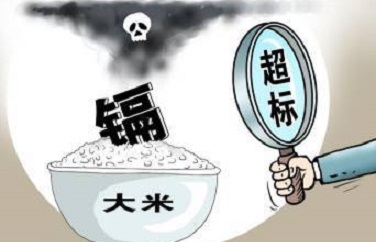 糧食重金屬檢測(cè)儀 糧食重金屬檢測(cè)儀