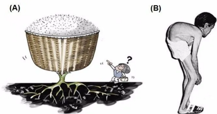 糧食重金屬 糧食重金屬